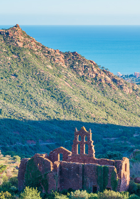 miel desert de les palmes
