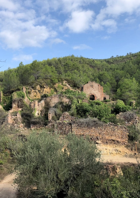miel de serra despada